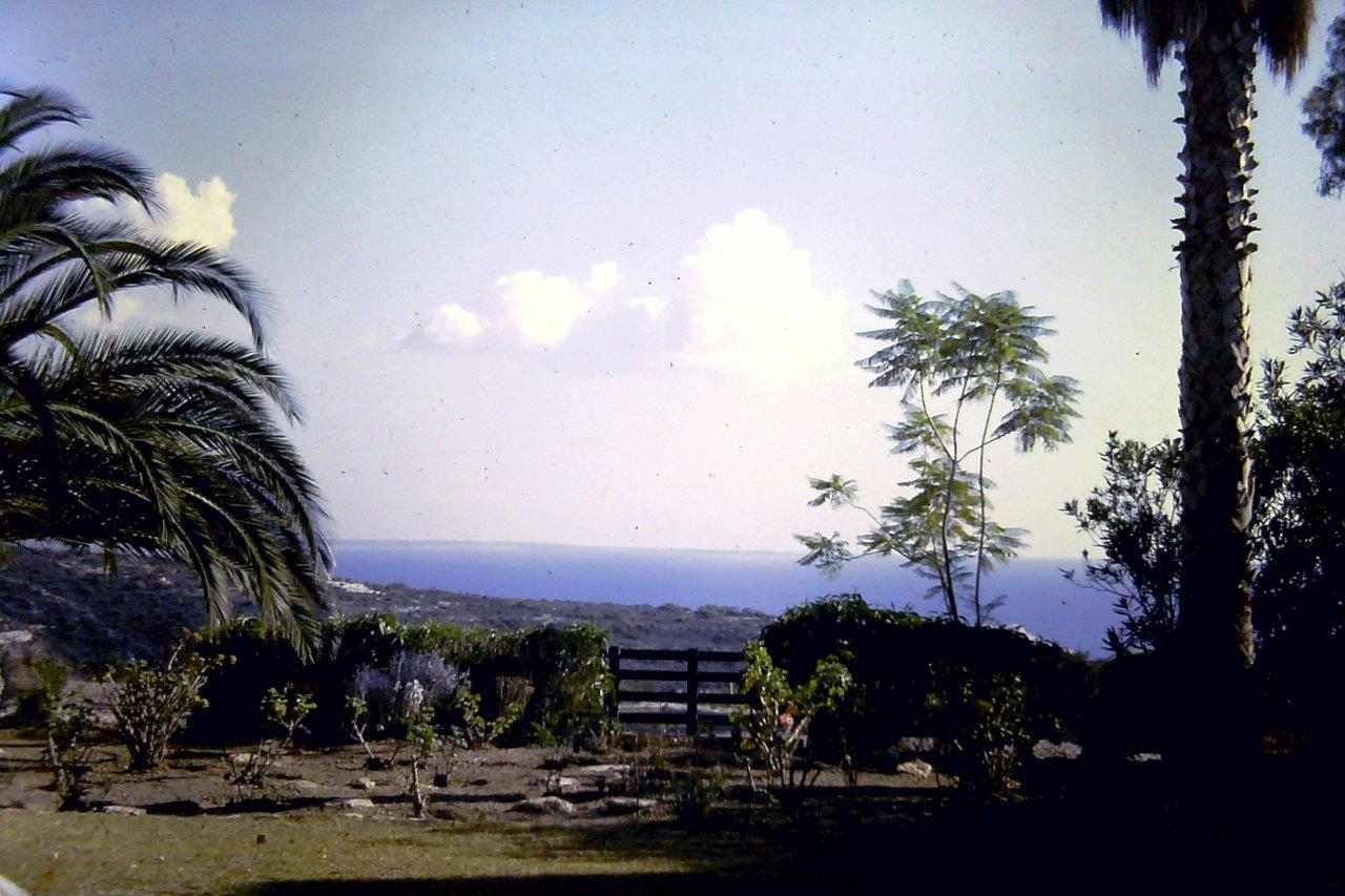 Back Garden View.jpg